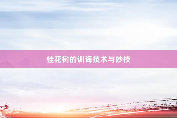 桂花树的训诲技术与妙技